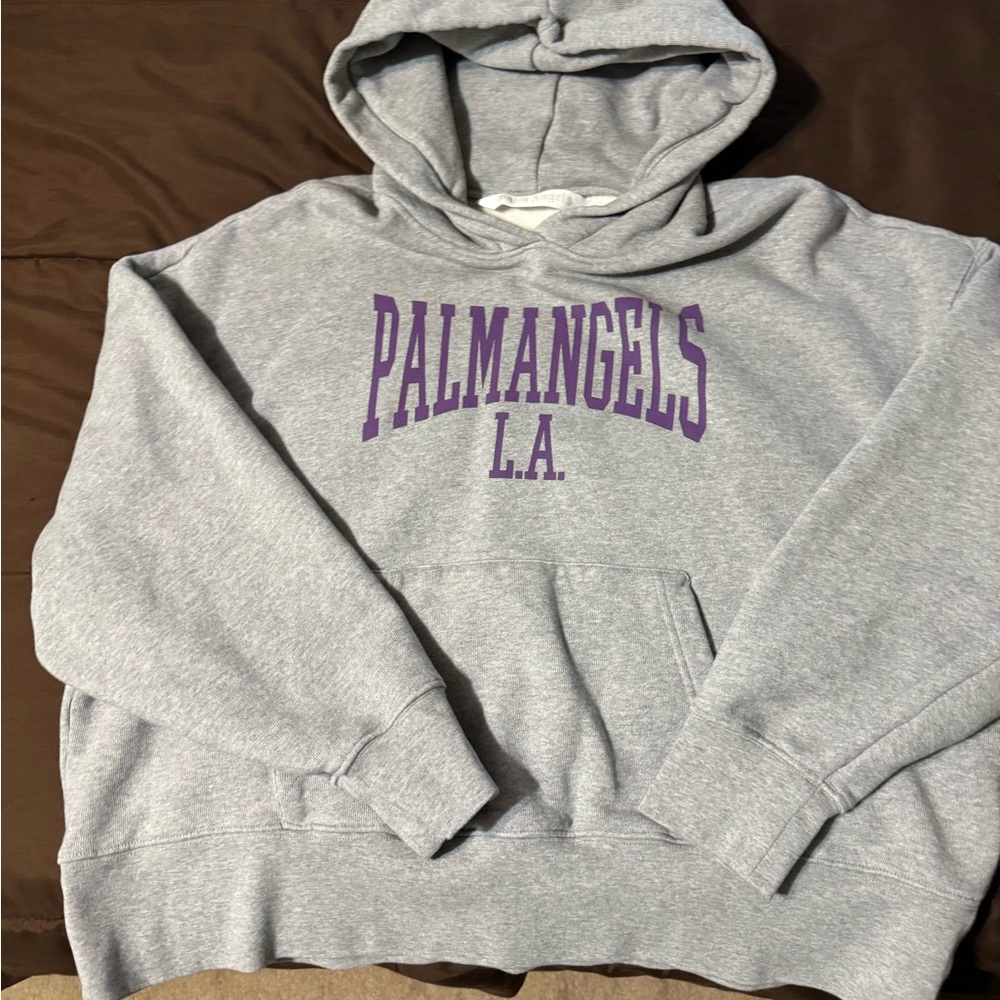Palm Angels Gray and Purple Hoodie